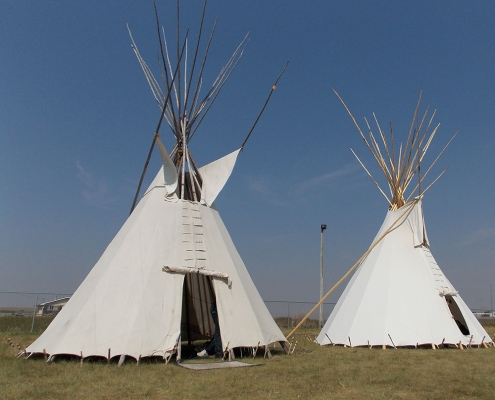 Pic-Tipis